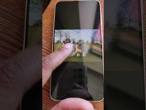 User submitted video