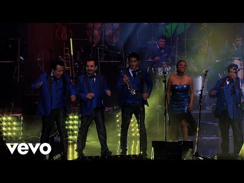 Los Ángeles Azules - Cumbia Coqueta (Live)
