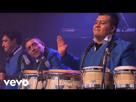 Los Ángeles Azules - Cumbia Coqueta (Live)