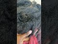 How To Detangle Extremely Matted Hair On Afro Hair
