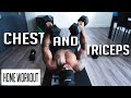 Home Massive Chest And Triceps Workout