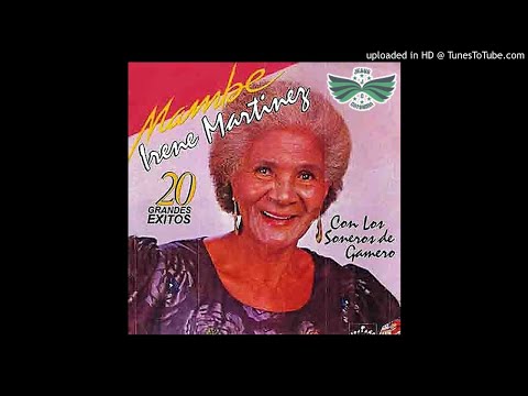 Se va se va - Irene Martinez (Audio HD)