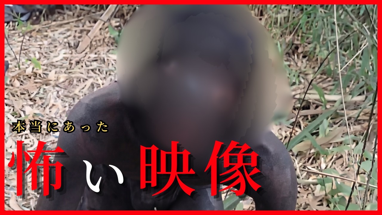 【海外心霊映像】あの映像どうなった？インターネット発信の恐怖映像集