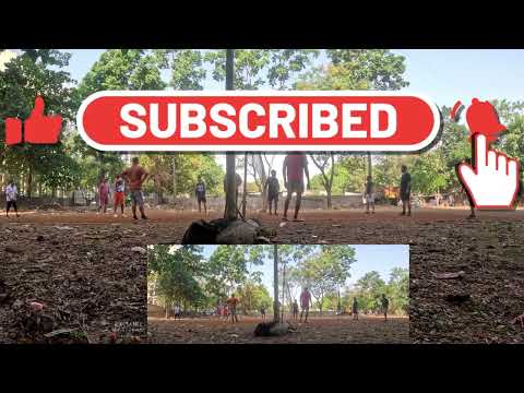 Shreewoods Volleyball ๐ 11 April 2026 | Full Match, Highlights & Shorts (4K)