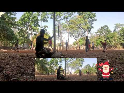 Shreewoods Volleyball ๐ 11 April 2026 | Full Match, Highlights & Shorts (4K)