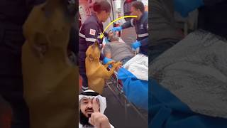 Download lagu رفع رأسه ونبح نباحاً خافتاً يشبه بكاء طفل لا يعرف سوى صاحبه ليطمئنه 😭 #اكسبلور #لايك #allahsmercy mp3 Download lagu رفع رأسه ونبح نباحاً خافتاً يشبه بكاء طفل لا يعرف سوى صاحبه ليطمئنه 😭 #اكسبلور #لايك #allahsmercy mp3