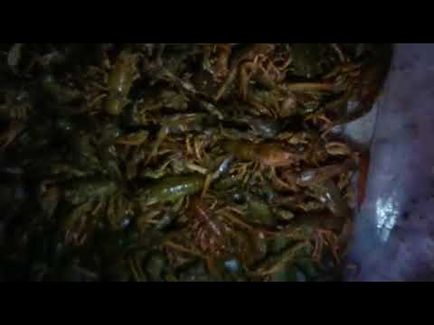 B73116EE EBD5 4C17 916A FB3F516C1C48