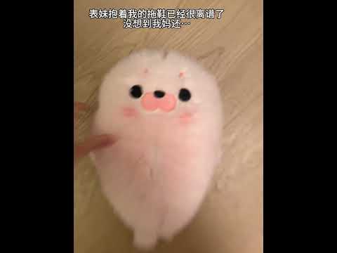 Little Seal: Blame me for being so cute #Plush Doll #seal