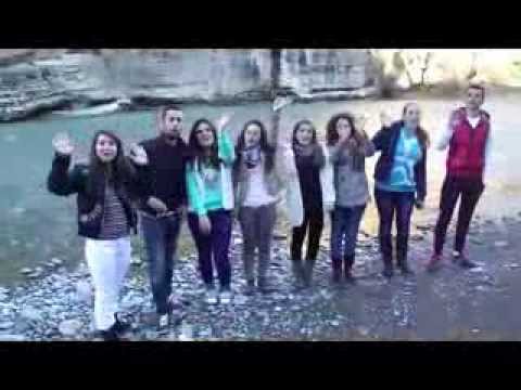 Model UN team Çorovodë  (2014)