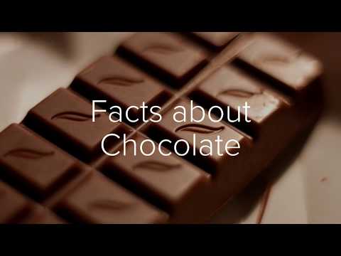 download lagu mp3 mp4 French Chocolate Facts, download lagu French Chocolate Facts gratis, unduh video klip French Chocolate Facts