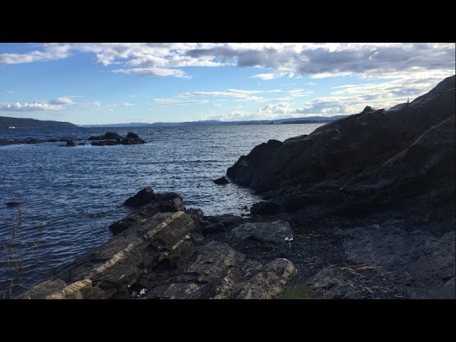 Joana Gelazyte (Oslo, Norway) Too little, too late