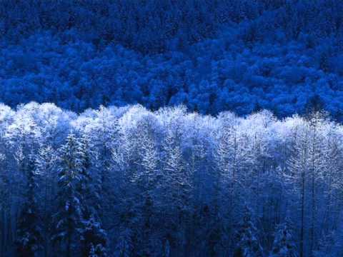 amia livvy nicole nobody but you feat livvy nicole original