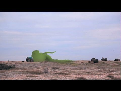 Moth Collective Exclusive