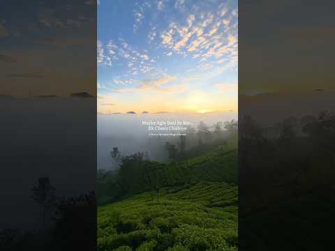 Tumhari Waapsi Chahiye💕 | Romantic Poetry | Arpan #shayari #poetry #viral