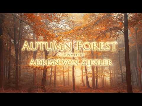 2 Hours of Relaxing Celtic Music - Autumn Forest
