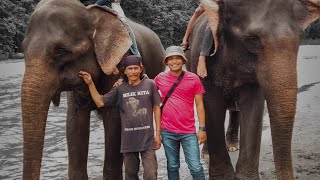 The Mahout and Sumatran Elephant