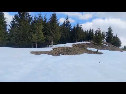 Pe Clabucetul Azugii între iarnă și primăvară