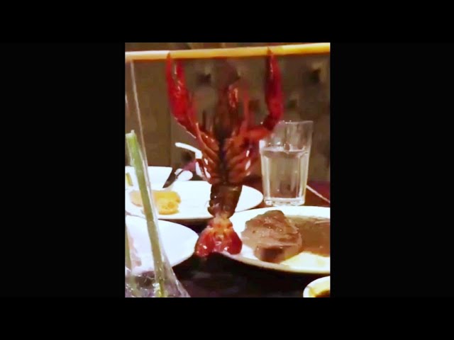 Vídeo relacionado con Larry the Lobster Observe Meme Sudadera con Capucha