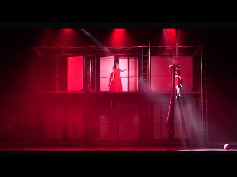 Aerial Silks-Yulia Melnik