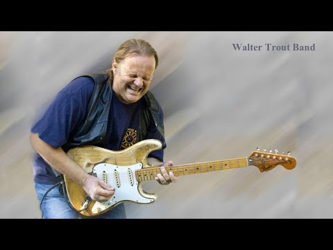 Walter Trout Band