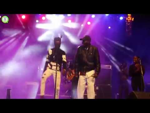 Gary Tight ft Mtukudzi at Thomas  Mapfumo Bira