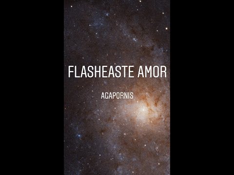 Flasheaste amor - Agapornis (cover Josefina Bessone)