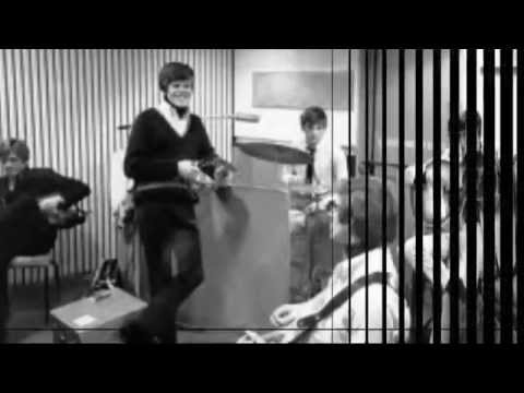 Peter Noone & Herman's Hermits - Do You Hear What I Hear