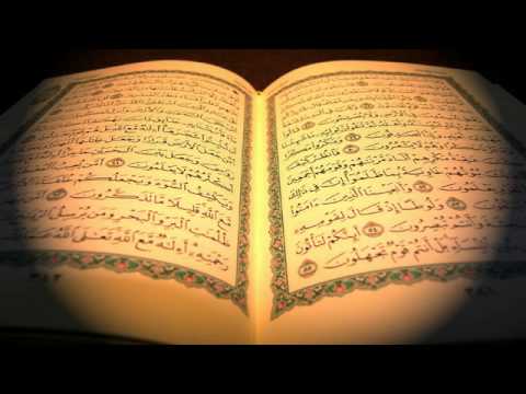 القرآن الكريم كاملا بصوت الشيخ مشاري بن راشد العفاسي