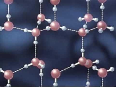 Erklärungen zur Anomalie des Wassers