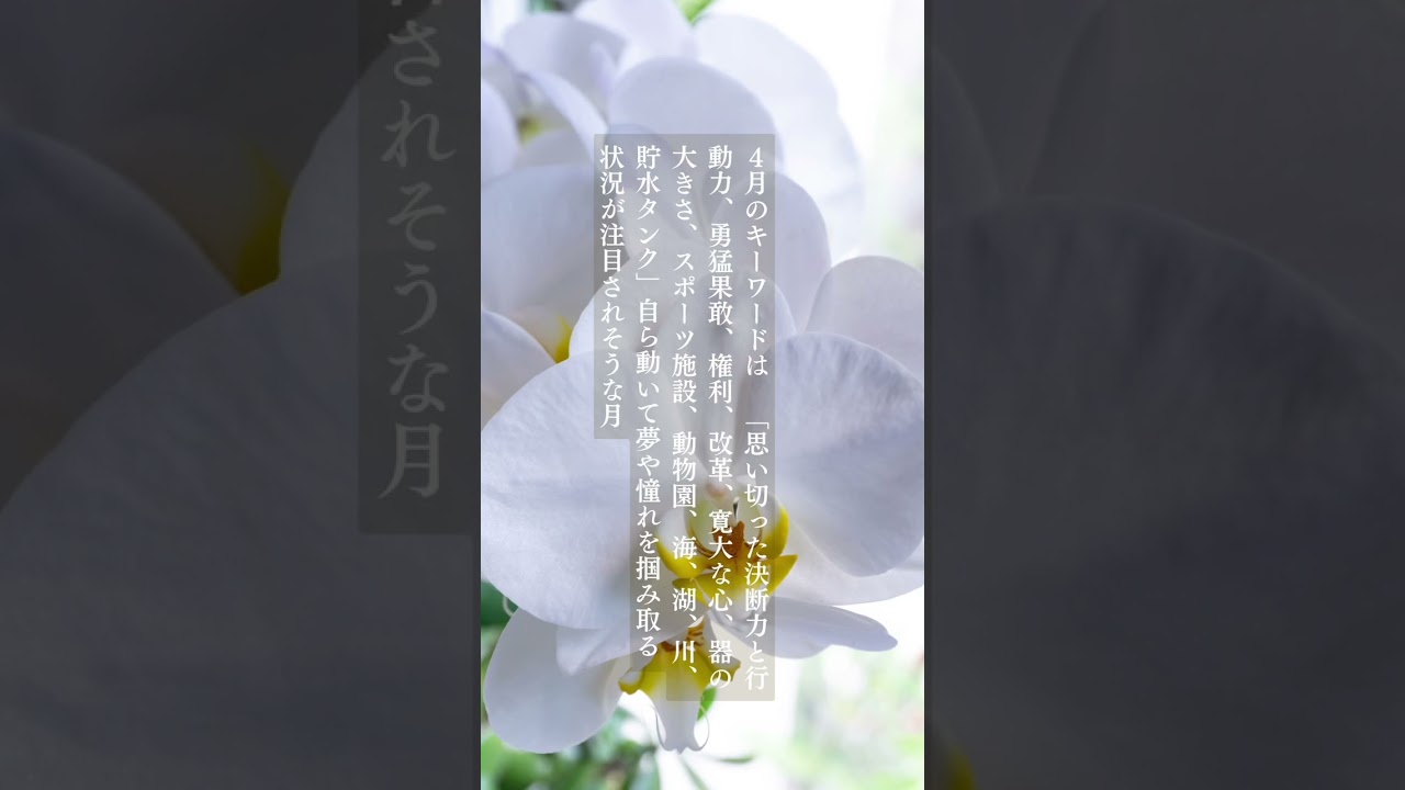 この1ヶ月の使い方がカギ 4月の過ごし方アドバイス。 #12星座占い  #占い