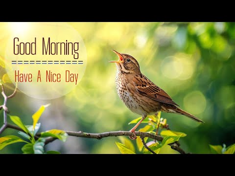 POWERFUL MORNING MUSIC - Wake Up with Happiness & Harmony - Morning Meditation Music For Relaxation