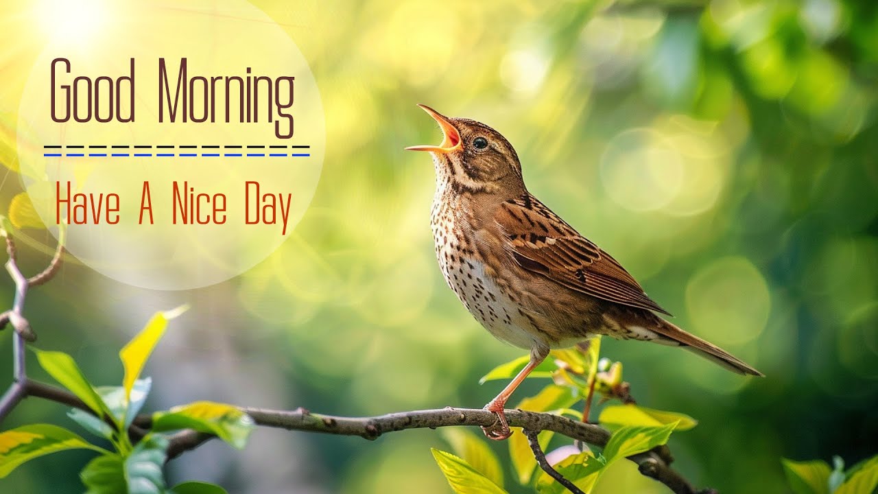 POWERFUL MORNING MUSIC - Wake Up with Happiness & Harmony - Morning Meditation Music For Relaxation