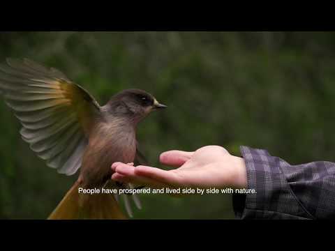 Summer in Ruka-Kuusamo