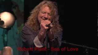 Robert Plant   Sea of Love