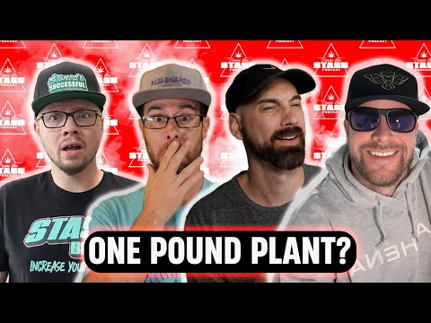 Best Screen Of Green Techniques For MASSIVE Yields! - From The Stash Podcast Ep.187