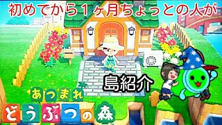 [あつまれどうぶつの森]初めてから１ヶ月ちょっとの人が島紹介してみたぁぁ～～( ´ω` )/
