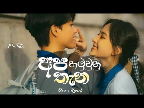 Apa Hamu Unu Thana Thaniyen ( අප හමුවුනු තැන තනියෙන් ) Shashika Nisansala 🌻❤️🥺 Slow And Reverb