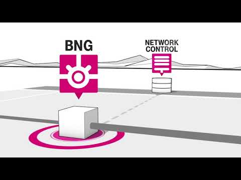 BNG at Telekom: What exactly does the Broadband Network Gateway (BNG) do?