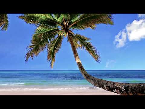 2 hours of good music | Music For Everyone #152