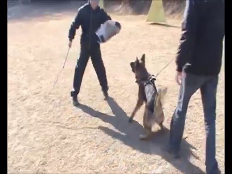 Phill Vikar (9.03.2011) defence. Pozorant: Vit Glisnik