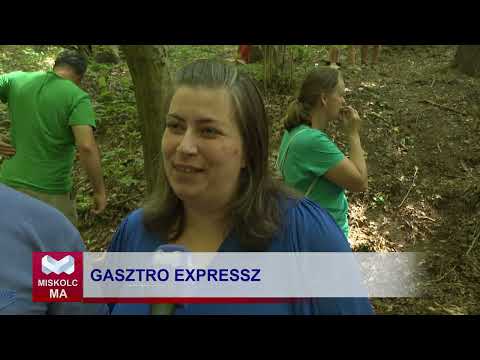 Videó előnézet