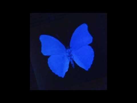 Luciano x Kalim "Butterfly Effect" Type Beat