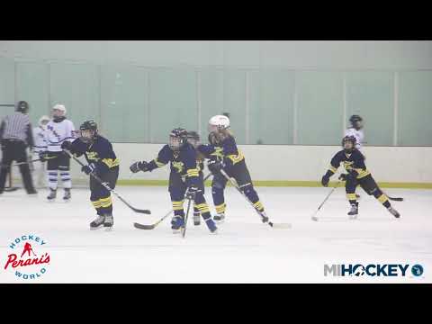 2020 MAHA Girls 12U Tier 3 State Championship - Livonia Knights vs. Ann Arbor Cougars