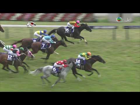 2017  Yasuda Kinen G1 - Satono Aladdin (神燈光照) - Y.Kawada (24倍) - 香港馬美麗大師及詠彩繽紛別跑第六及第十