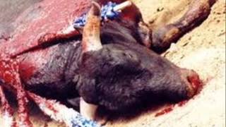 Animales Racionales - Porta - Reset 2012