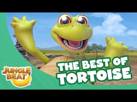 download lagu mp3 mp4 Animated Turtle, download lagu Animated Turtle gratis, unduh video klip Animated Turtle
