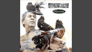 Naveed
