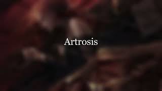 Artrosis - Lisa  [ Instrumental]