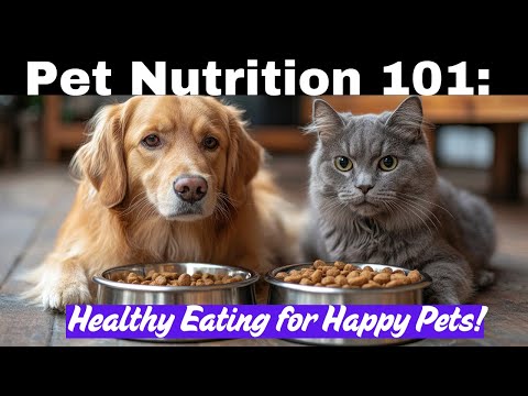 Pet Nutrition 101:  Healthy Eating for Happy Pets