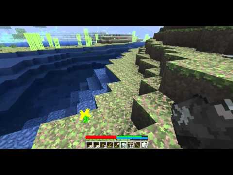 TerraFirmaCraft Let's Play Episode 01